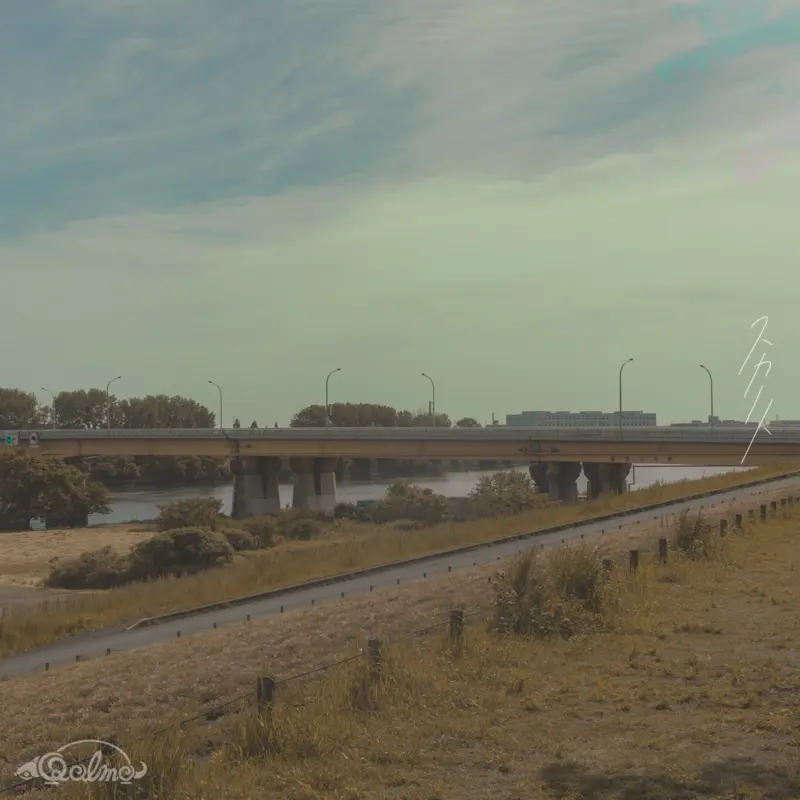 スカート アートワーク